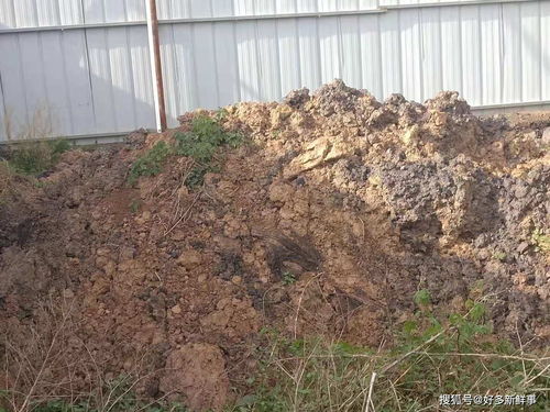 滑縣小鋪鄉(xiāng)大武莊照喜新型墻體材料廠 污染環(huán)境,亟待治理